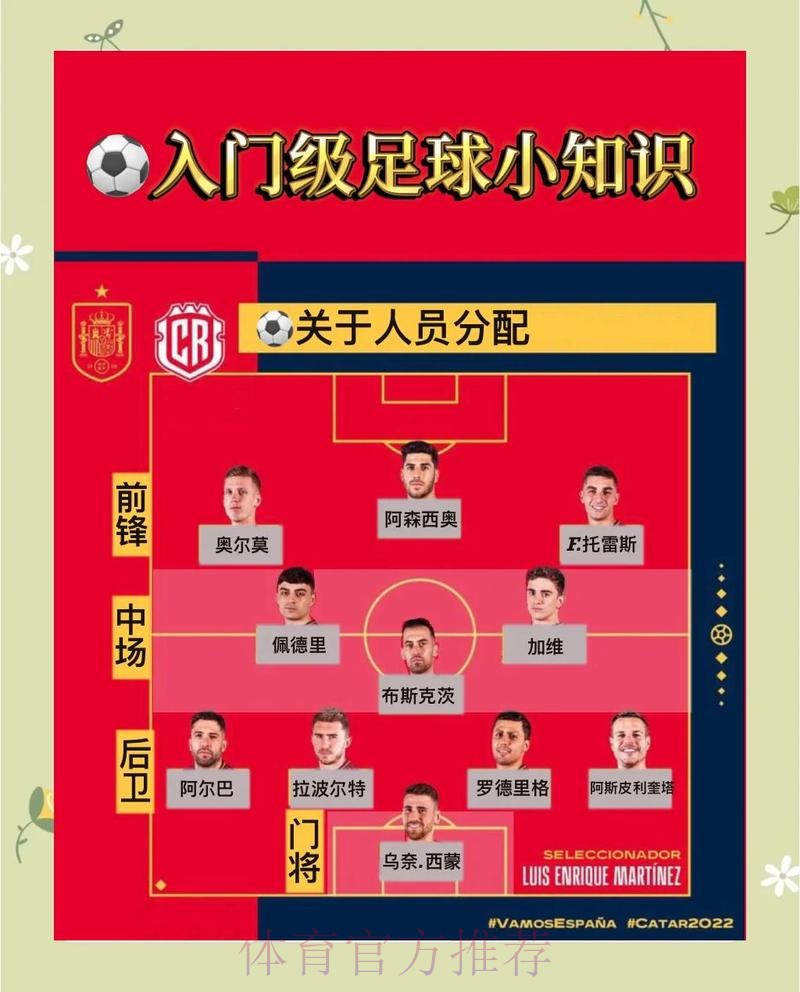 世界杯下注入口解读与高效玩法指南